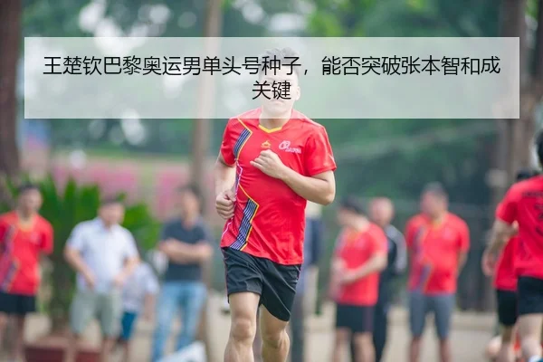 wang-chu-qin-ba-li-ao-yun-nan-dan-tou-hao-zhong-zi-neng-fou-tu-po-zhang-ben-zhi-he-cheng-guan-jian-3-431.jpg